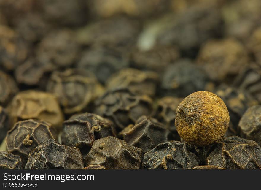 Pepper seed on other pepper seeds with small dof