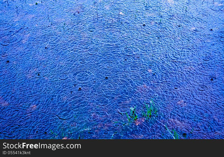 Rippled Water Surface With Drops. Rippled Water Surface With Drops