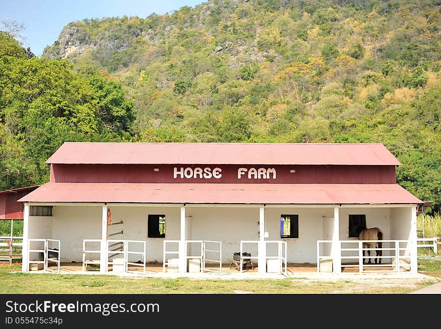 Horse house in front of a mountain