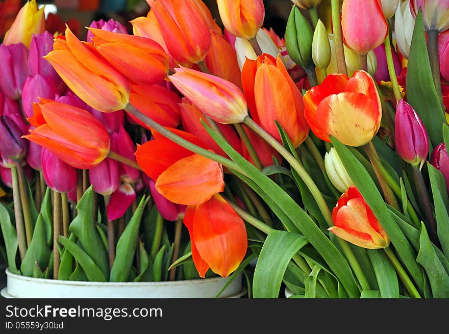 Flowershop tulips