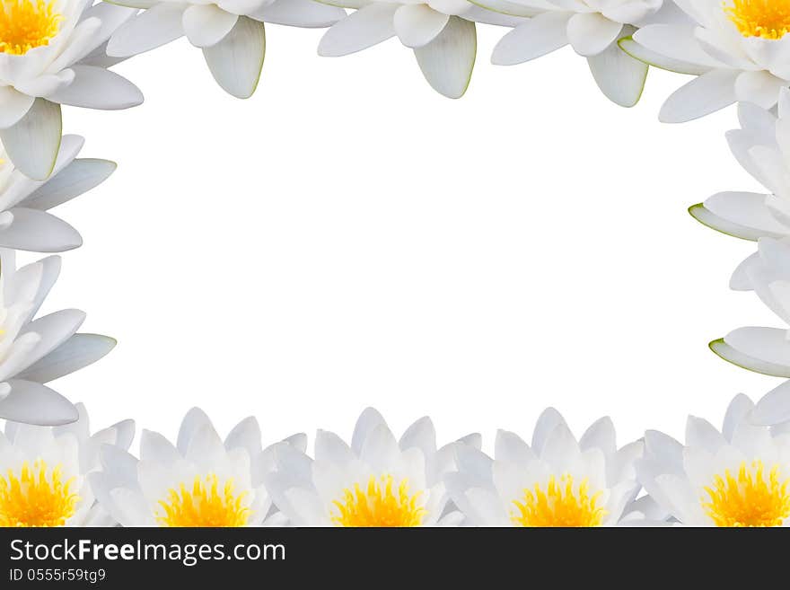 White and yellow of lotus frame. White and yellow of lotus frame