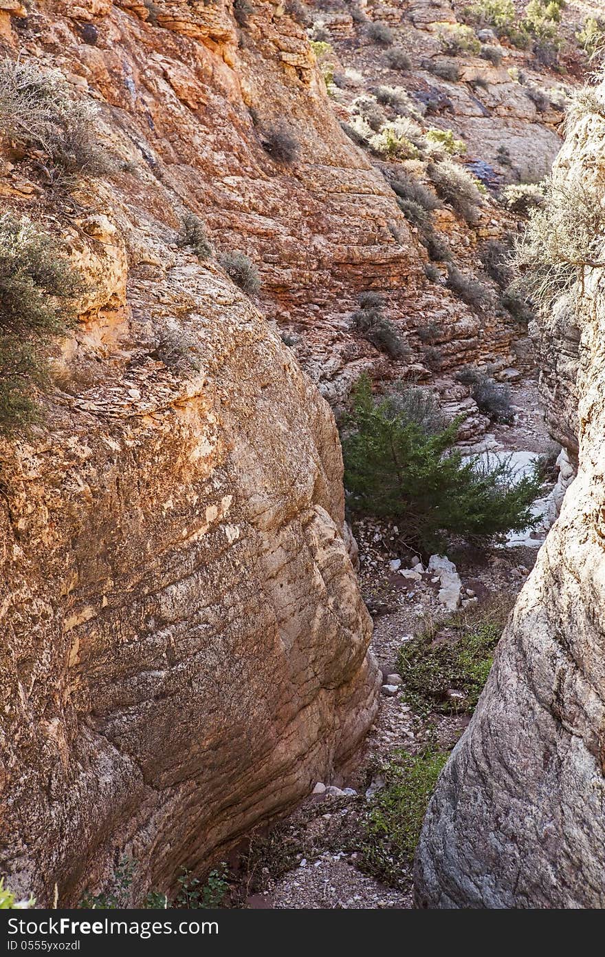 Limestone Gorge