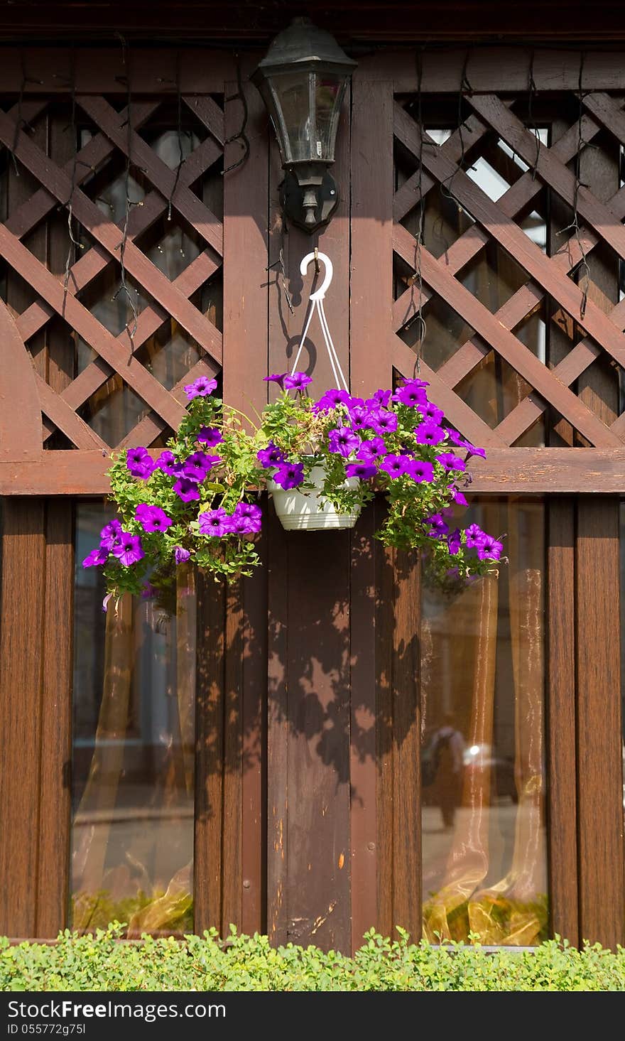 Petunia flower  and street lantern