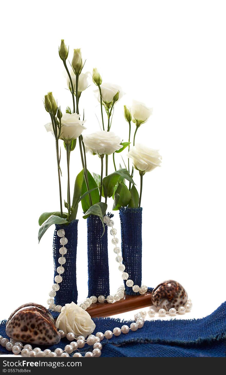 Eustoma flowers with shells isolated