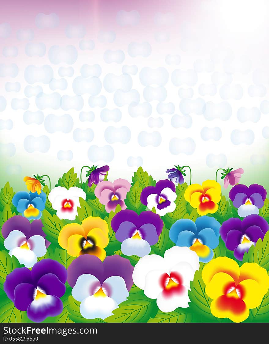 Field of violets on a colored background, vector drawing