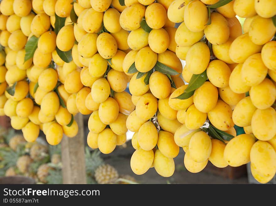 Marian plum or Maprang-tropical fruit in Thailand. Marian plum or Maprang-tropical fruit in Thailand