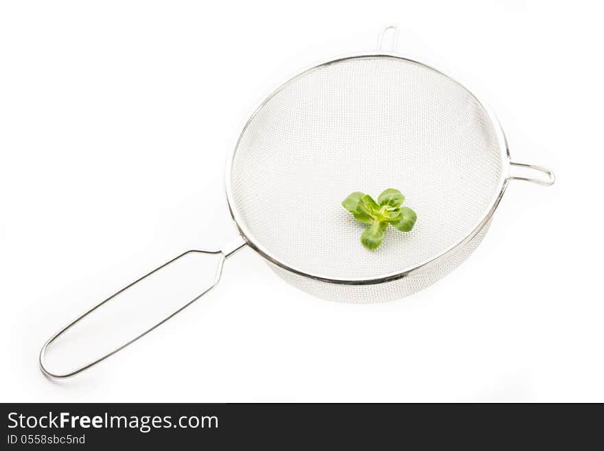 Lamb S Lettuce On Strainer