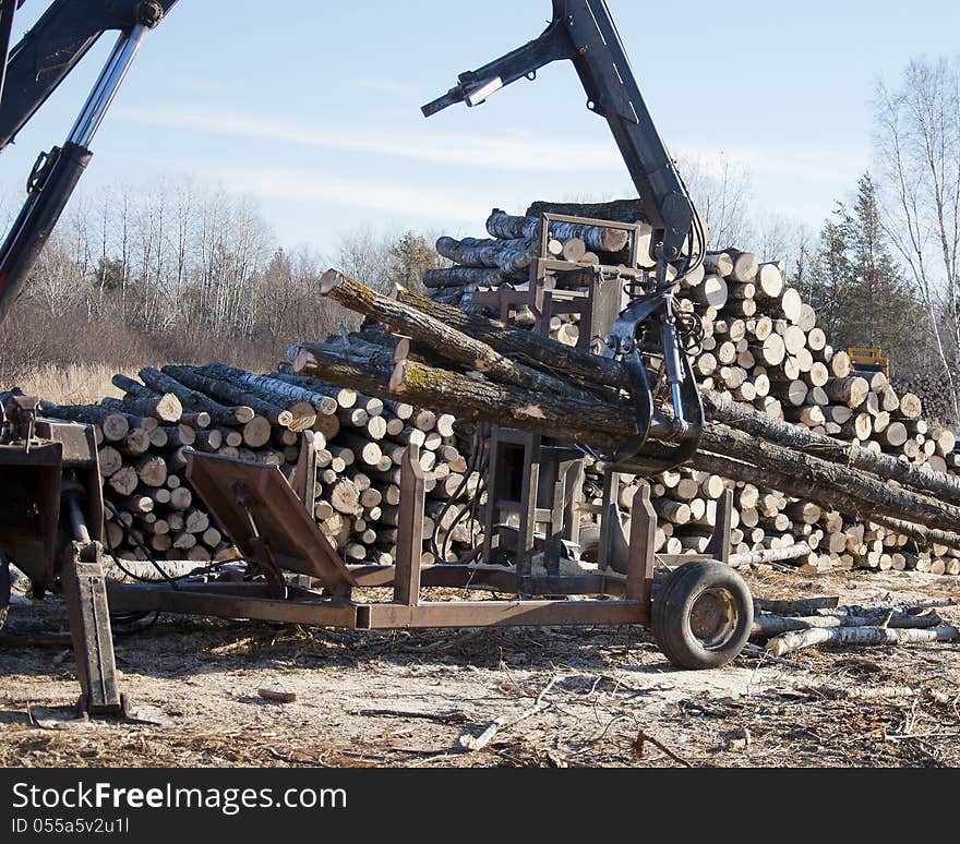 Stacking logs to cut and process