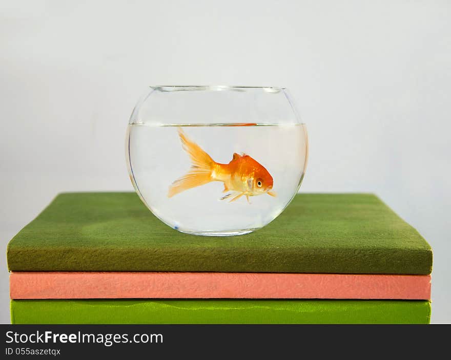 A goldfish in the tank on the books. A goldfish in the tank on the books