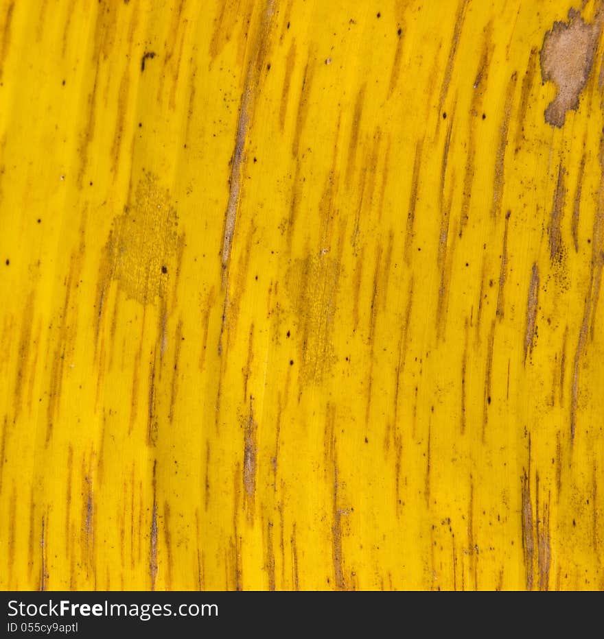 Yellow Banana Leaf