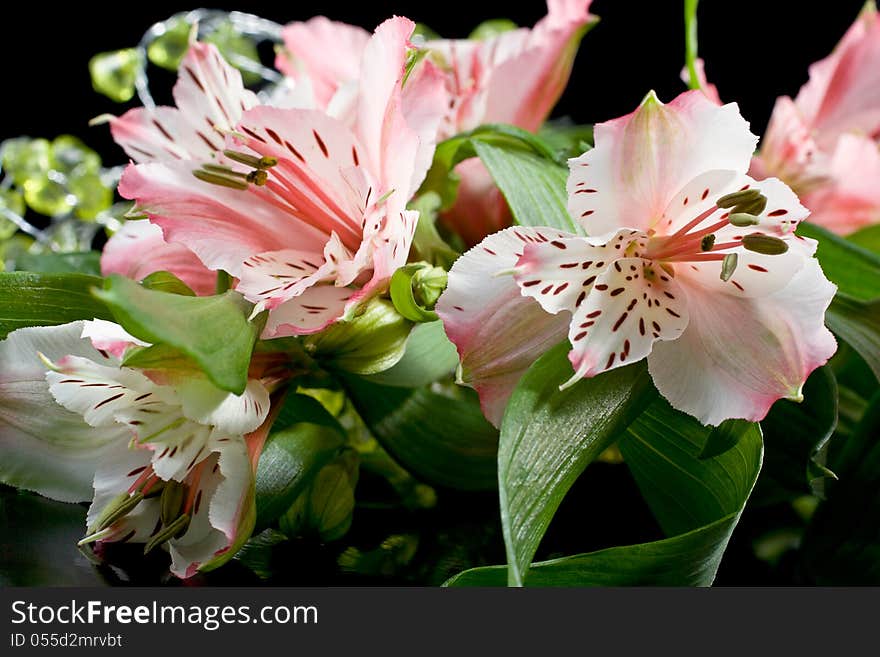 Bouquet Of Pink Lilies On A Black Background