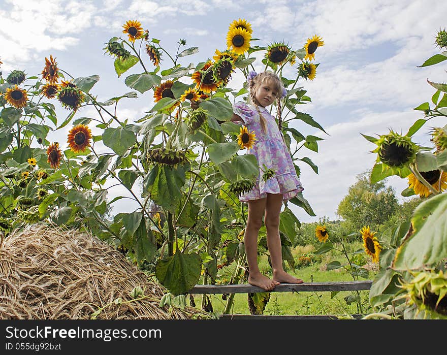 Small Qirl And Sunflowers