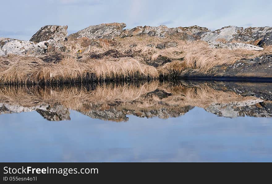 Reflections in nature