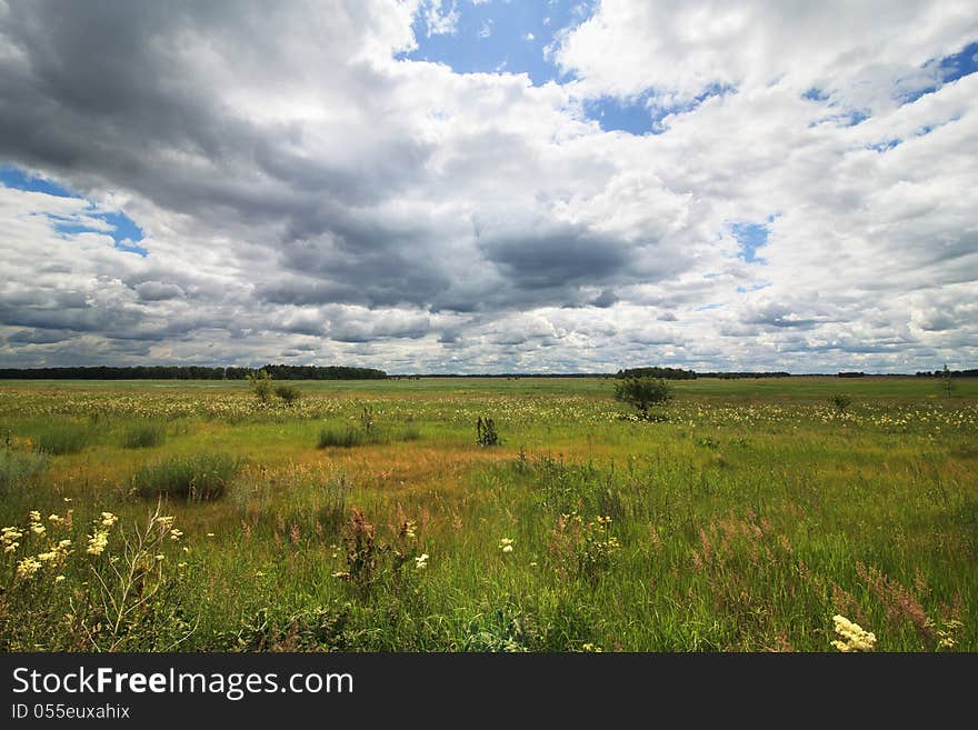 Cumulus Clouds Above The Green Meadow.