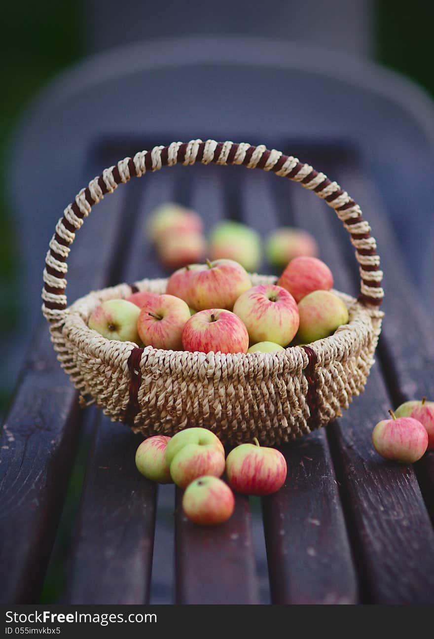 Red Apples in the Basket