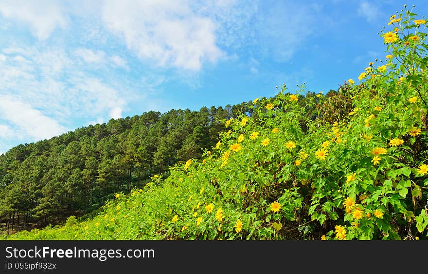 Scenic Mae Uko mountain