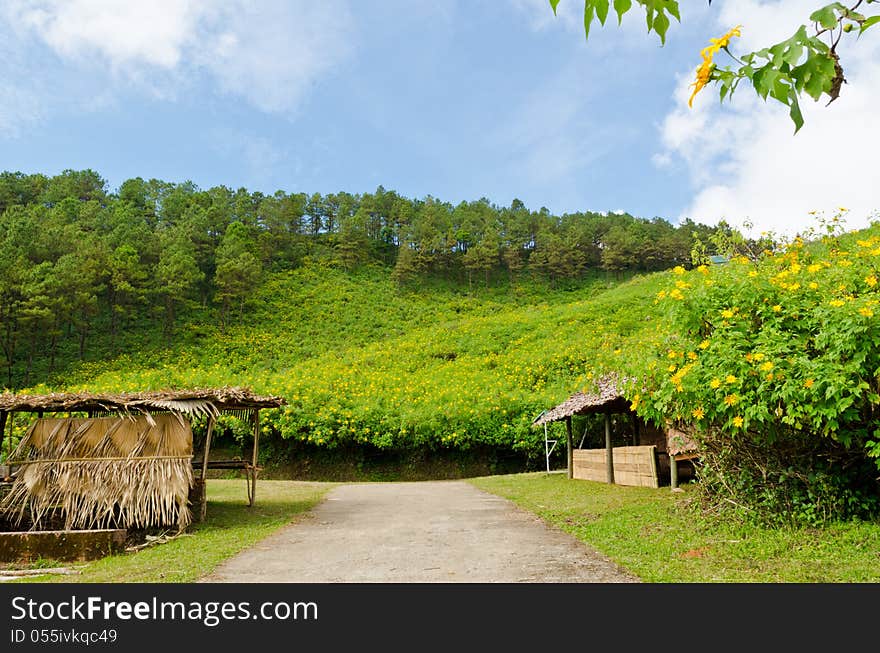 Scenic Mae Uko mountain. Mae Hong Son in northern Thailand.