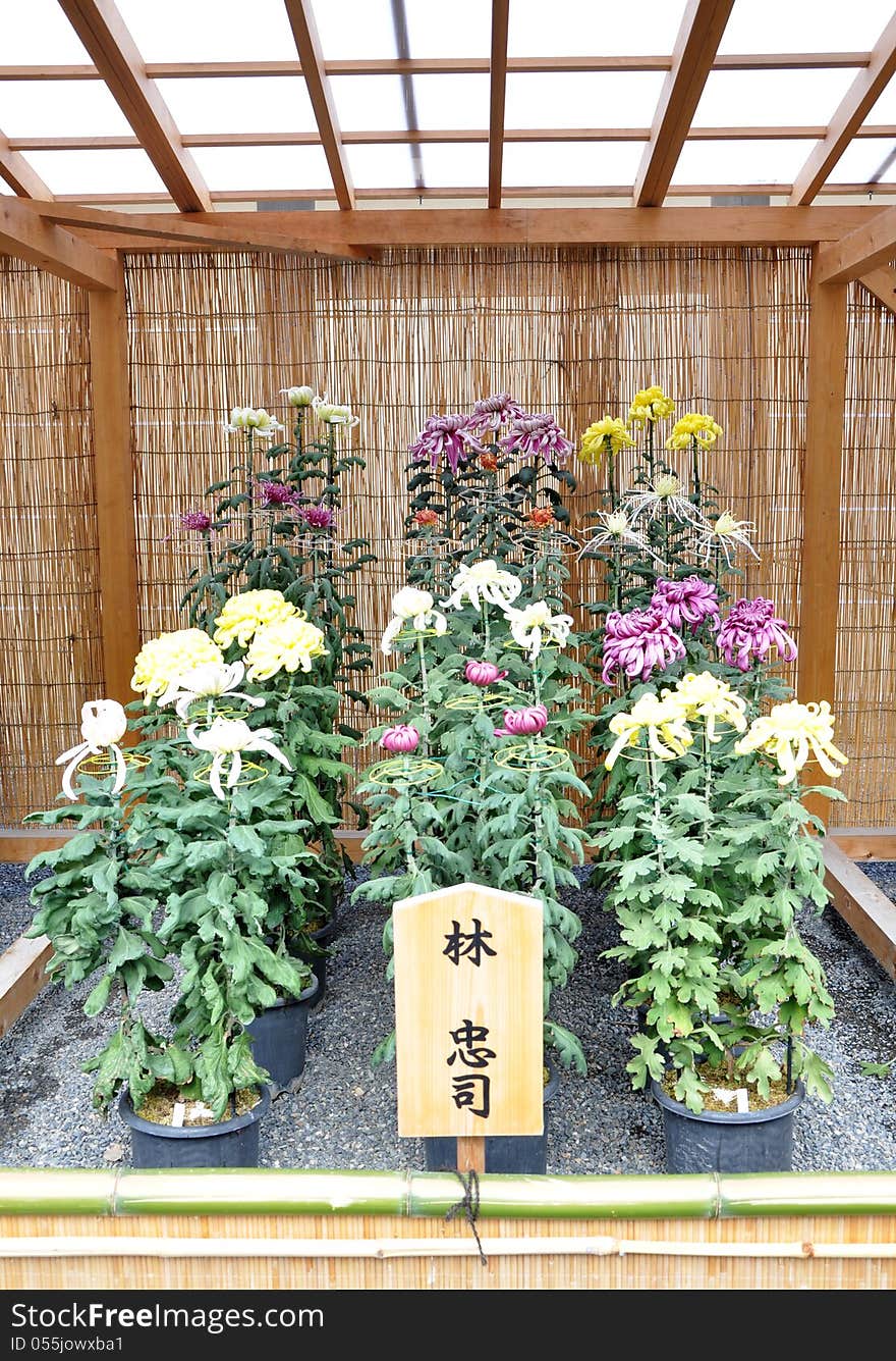 Flower Garden at Nijo Castle