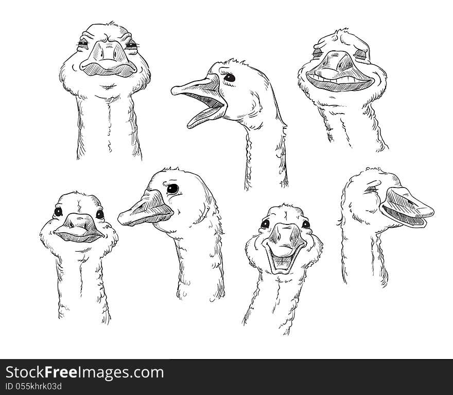 A cute goose with different facial expressions of a human. Vector illustration.