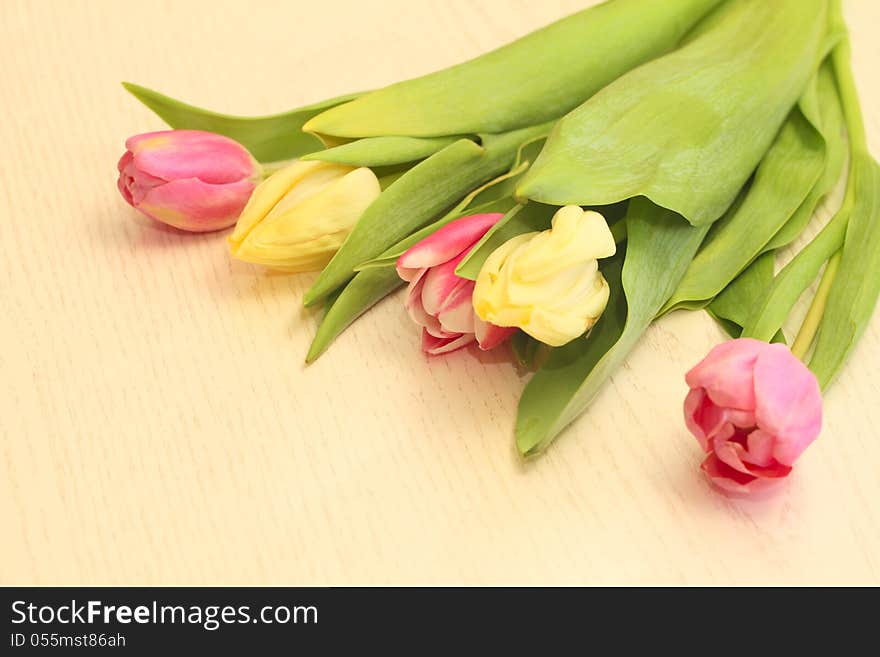 Tulips On A Table