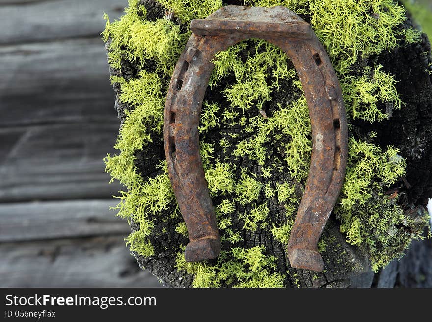 Rusty horseshoe with a mossy green background. Rusty horseshoe with a mossy green background