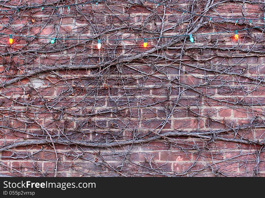 Interesting old brick wall covered with creeping branches and strings of colorful old-fashioned lights. Interesting old brick wall covered with creeping branches and strings of colorful old-fashioned lights.