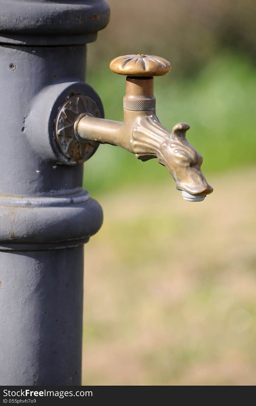 Dog shaped tap on public water fountain