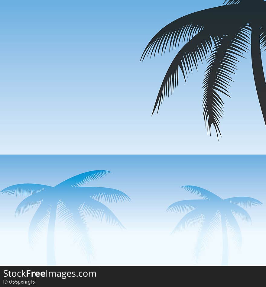 Palm trees reflected on sand.