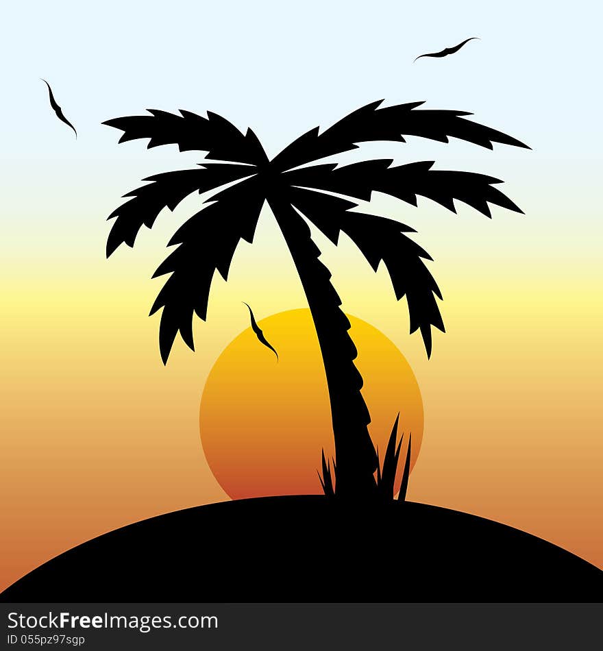 Vector illustration of a tropical sunset and palm tree.vector