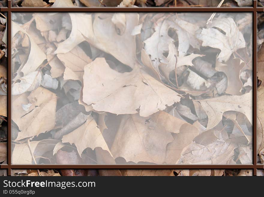 Pile of brown fall leaves in a rectangular frame with faded background. Pile of brown fall leaves in a rectangular frame with faded background