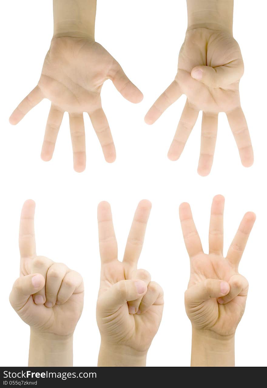 Counting female hands isolated on white