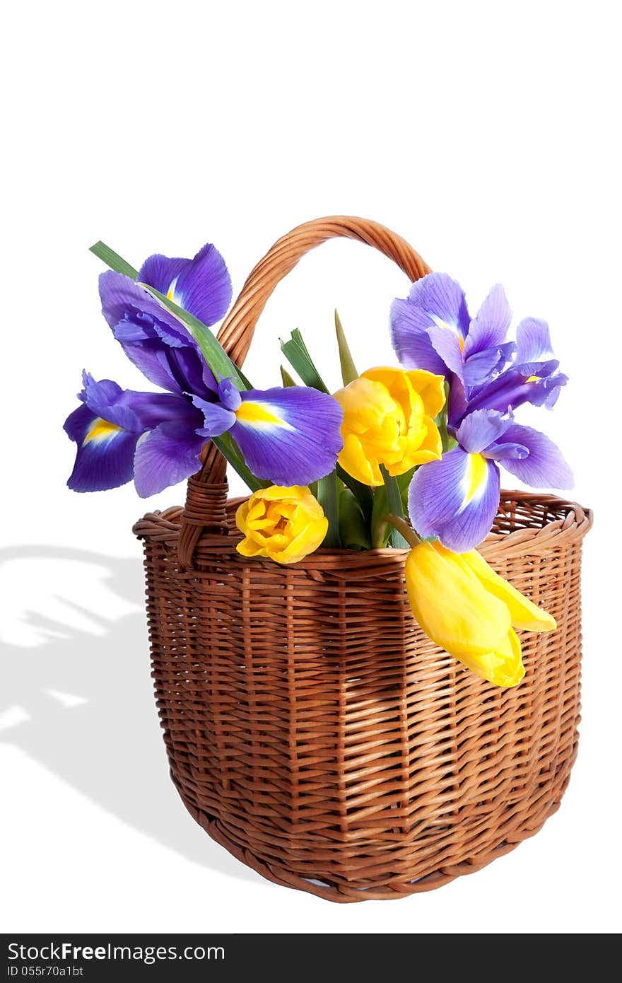 Big wicker basket with the spring flowers