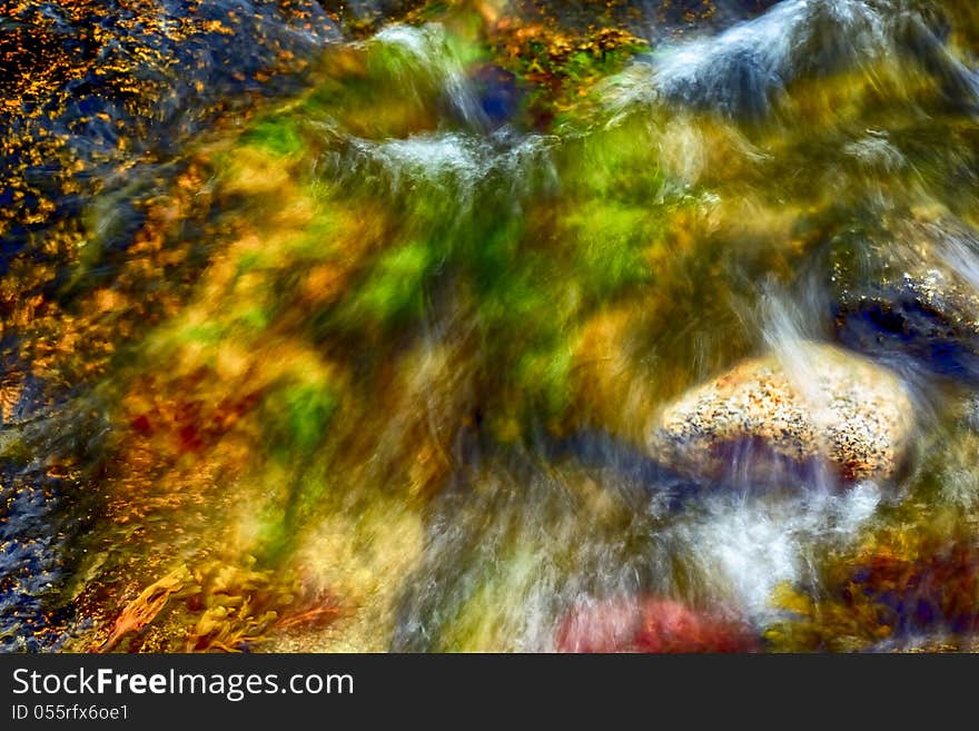 Colorful seaweed and rocks at low tide