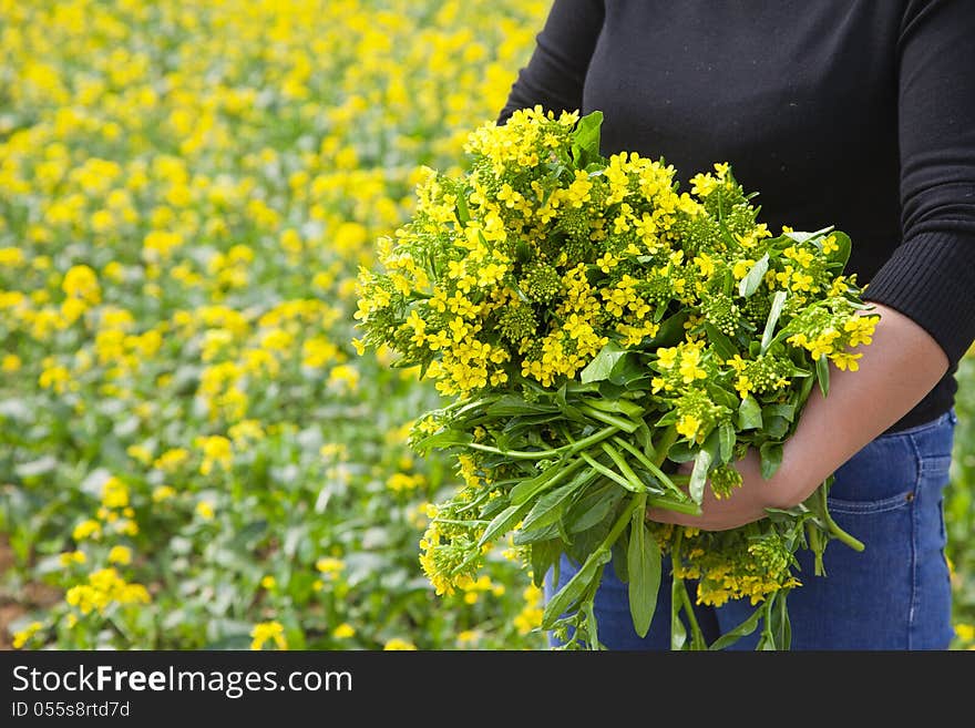 Woman with flowers in vegetable garden. Woman with flowers in vegetable garden