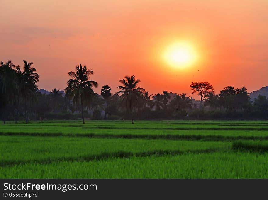 Red Sunset, India