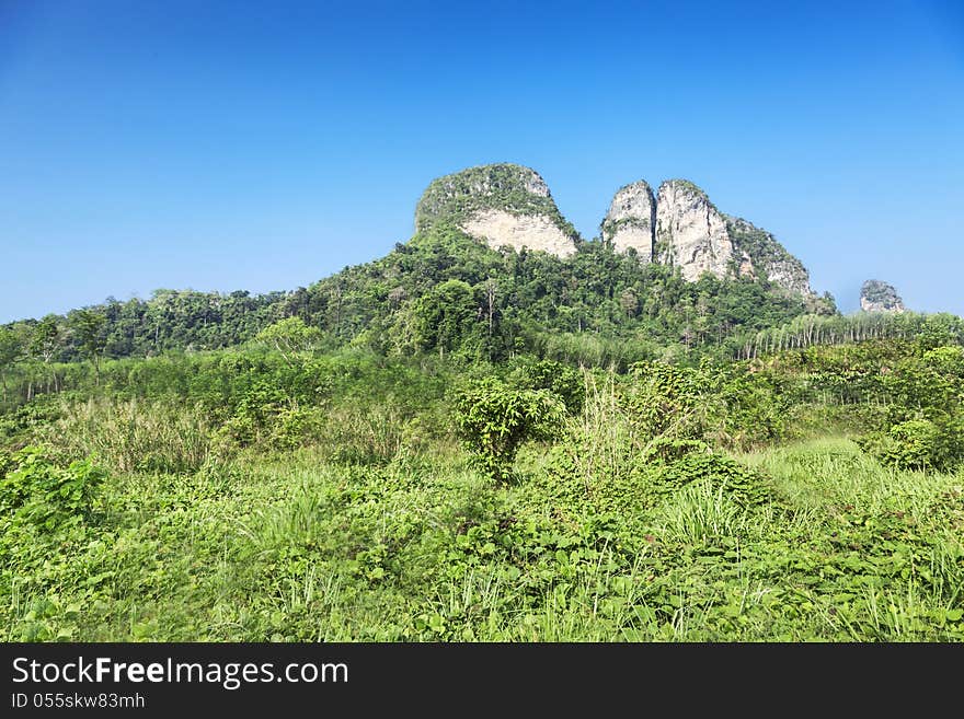 Beautiful mountain and meadow on the blue sky