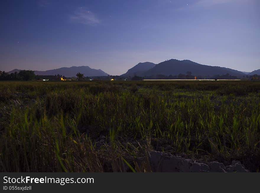 Paddy Field Nightscape