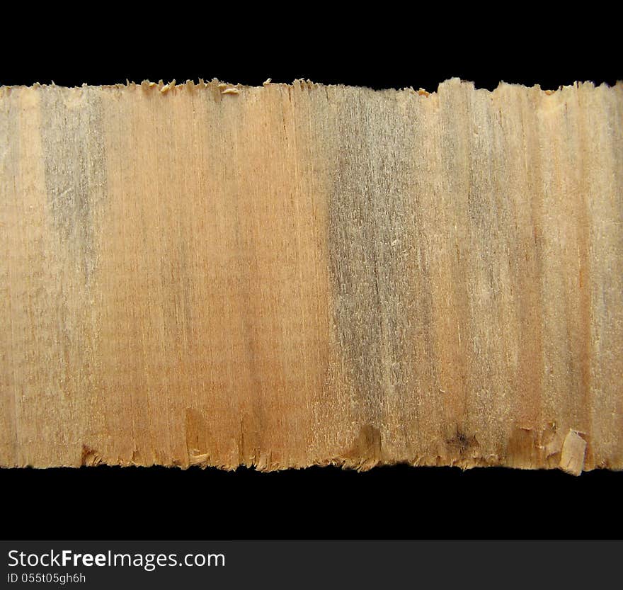 Closeup of light wooden texture