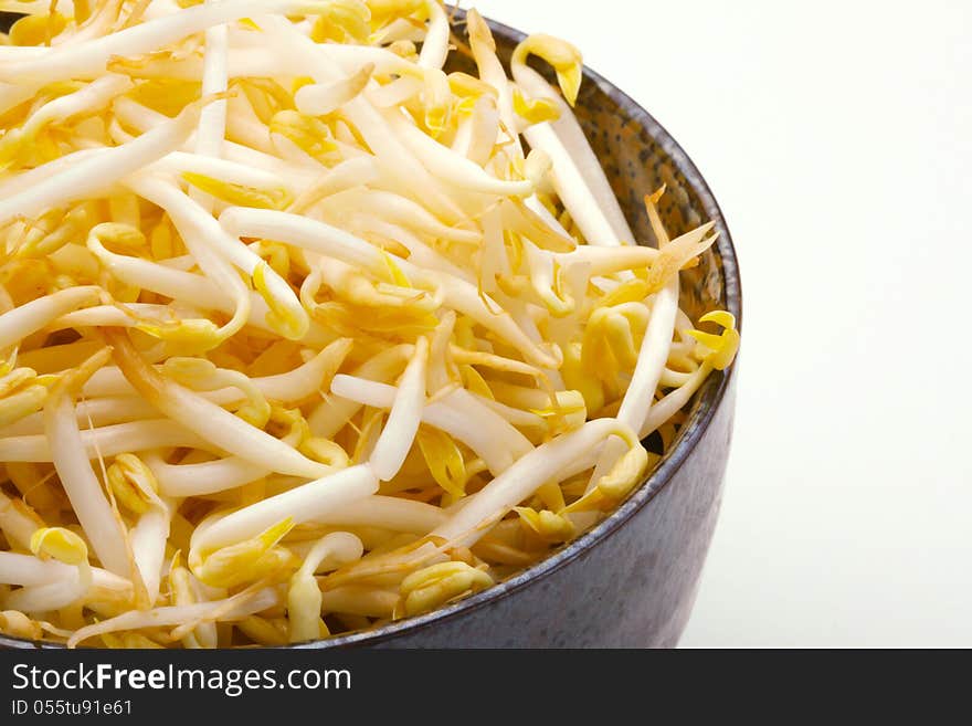 Beansprout ingredients in Asia food. Beansprout ingredients in Asia food.