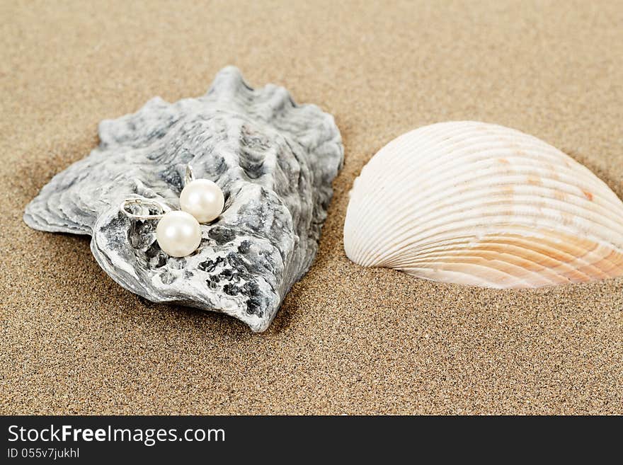 Two pearl earrings and shells on sand background