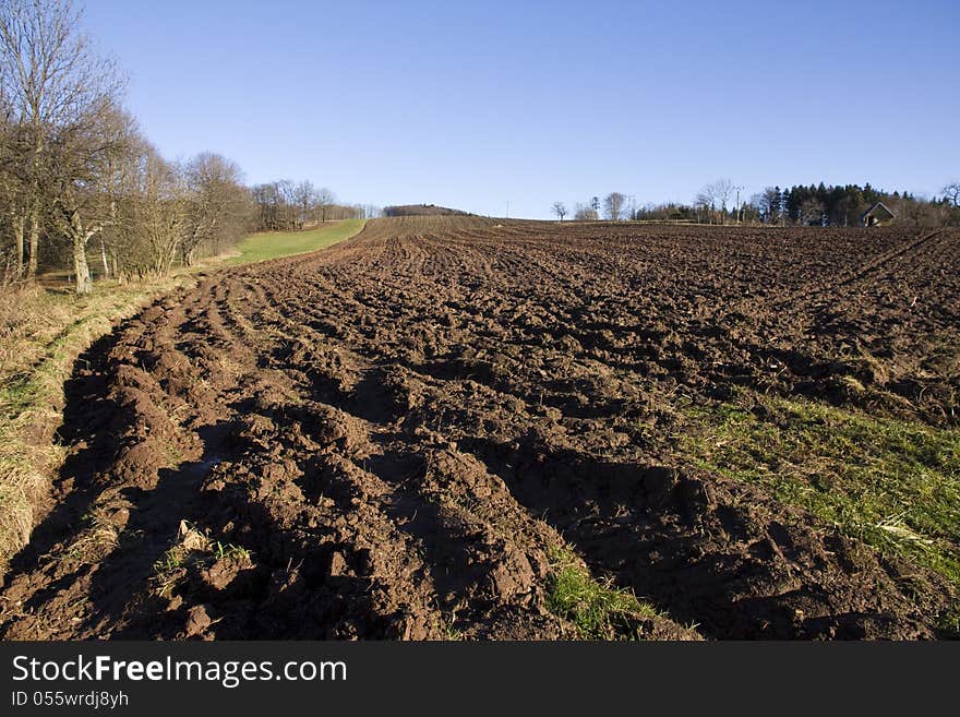 Autumn landscape with a brown field. Autumn landscape with a brown field