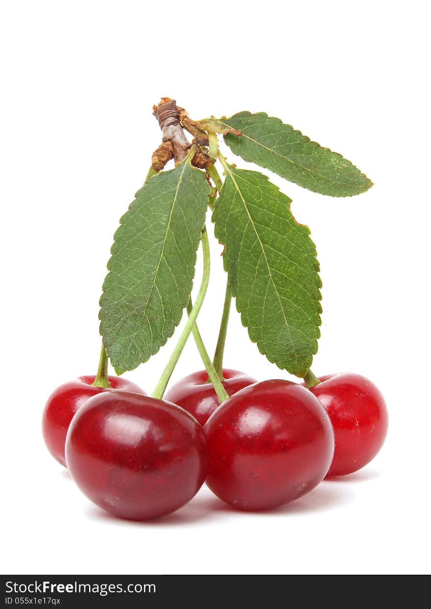 Cherries with leaves on white background. Cherries with leaves on white background.