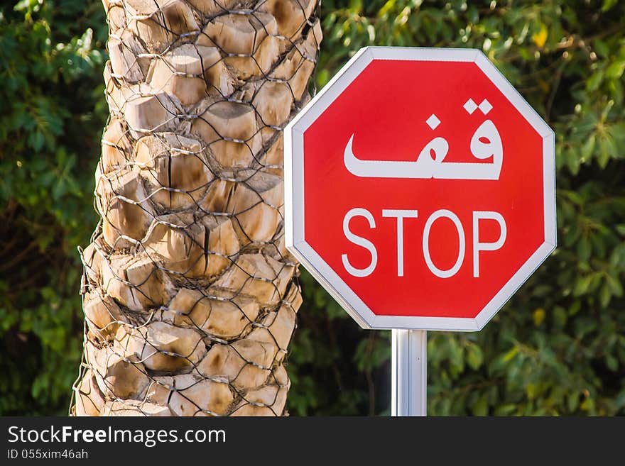 Arabic road sign on the background of the palm tree