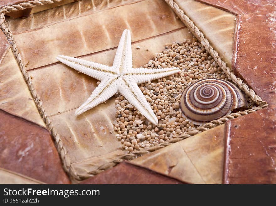 Details of the marine world on an old leather background. Details of the marine world on an old leather background.