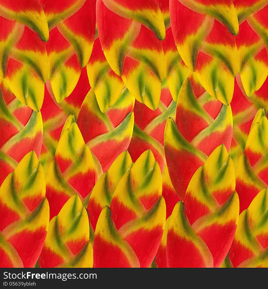 Abstract colorfull background. Made from Heliconia leaves.