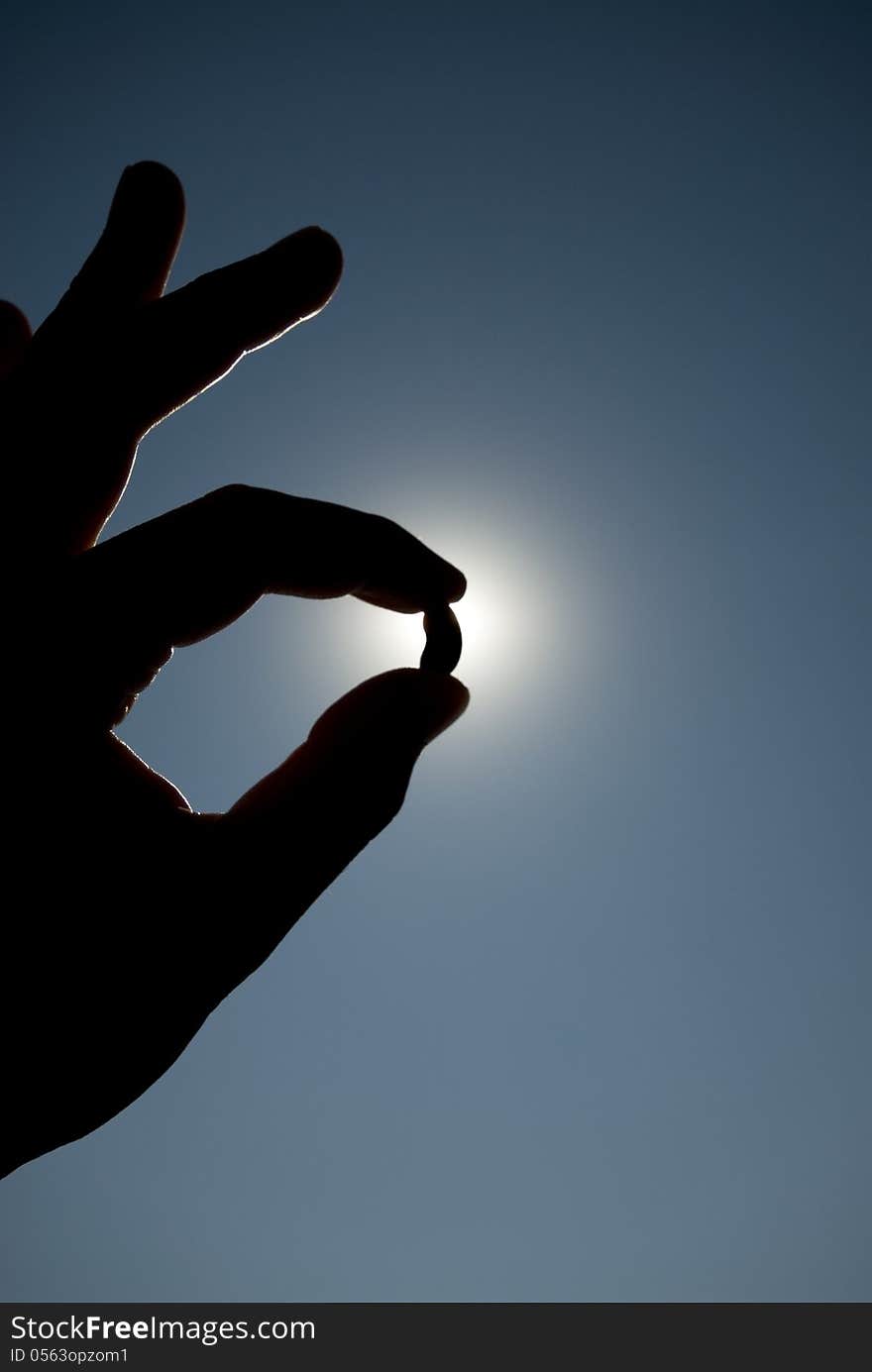 Silhouette Of Hand Holding Bean