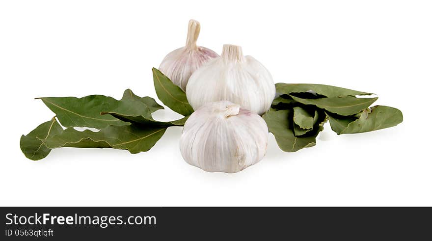 Bay leaf and garlic on white background