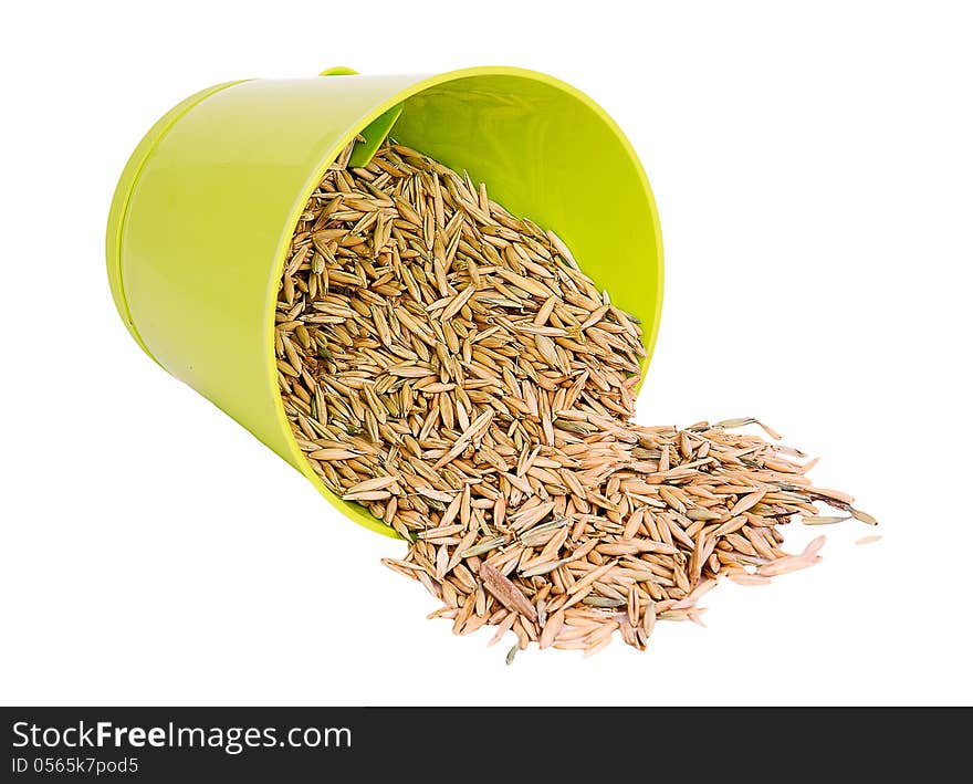 Oats seeds agriculture harvest health. Oats seeds agriculture harvest health