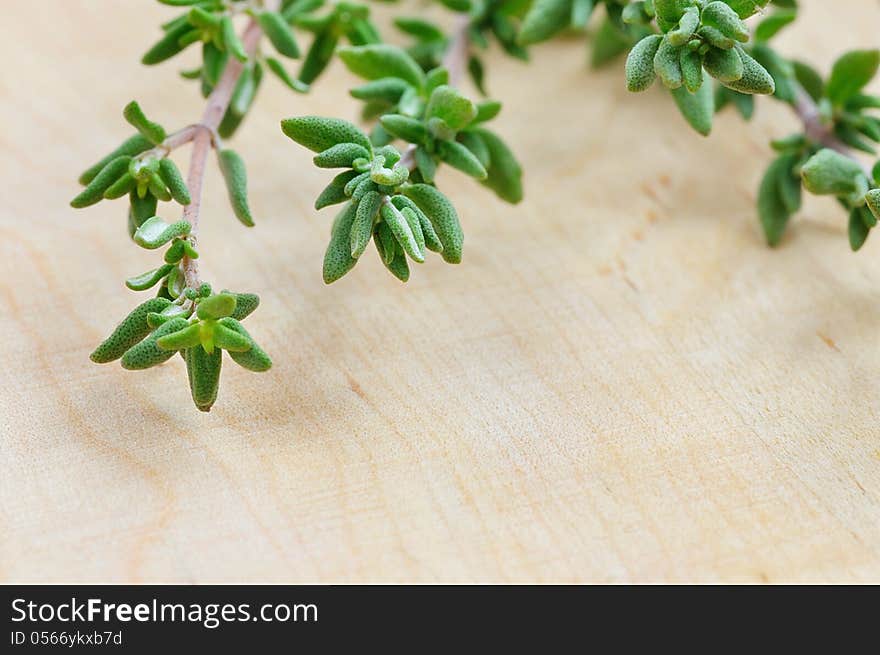 Thyme