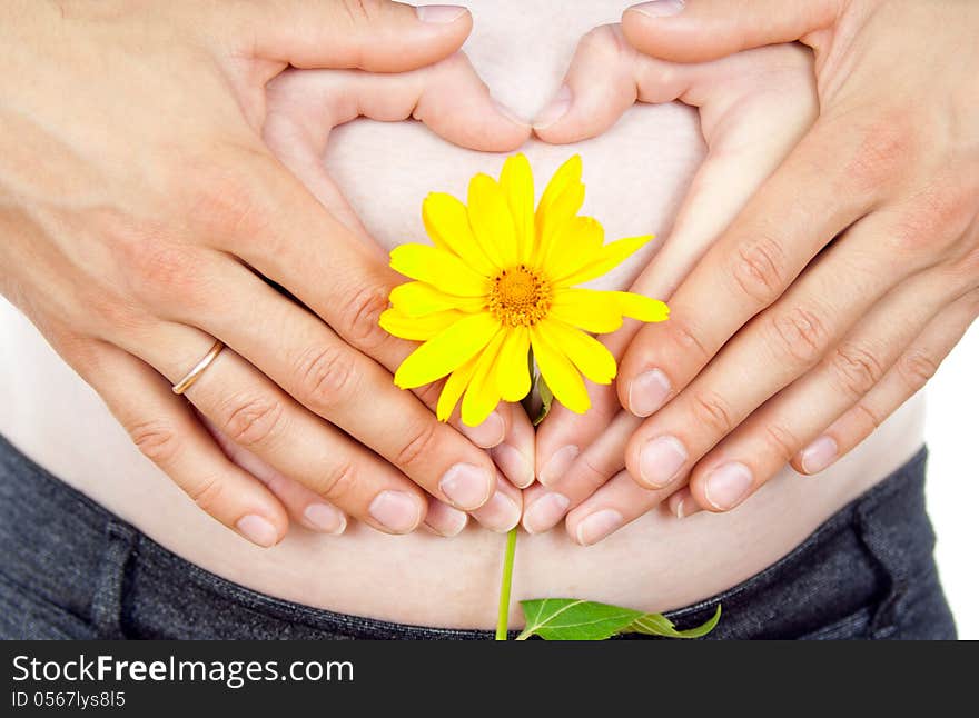 Pregnant girl belly and flower isolated on white background